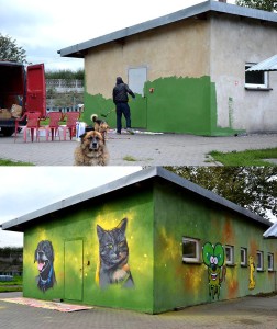 kot i pies, graffiti