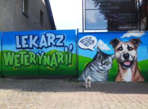 graffiti na bramach